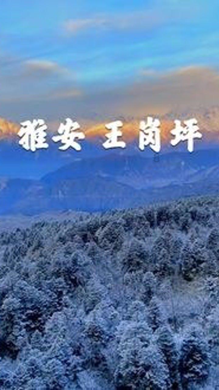 天麻炖鸽子应该怎么炖?需要加些什么辅料吗?-专业问答平台