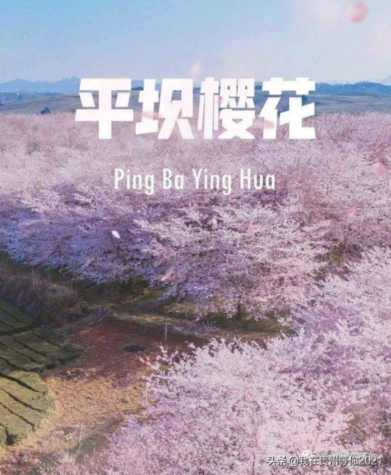 杭州跻身超大城市