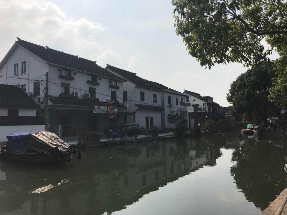 勿忘我